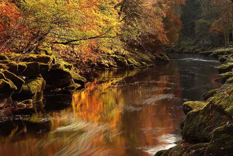 the strid ii.jpg
